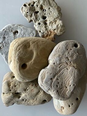 🪨6 Large Lake Michigan Hag Stones🪨 ~3”-4”